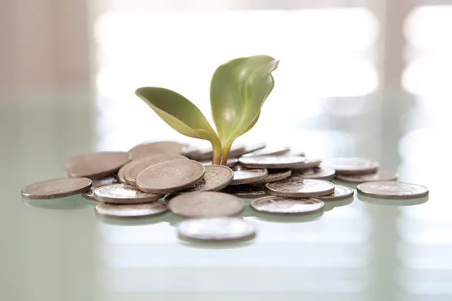 how to make more money in India