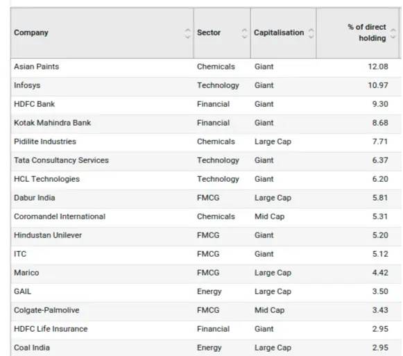 Rohit's direct equity portfolio
